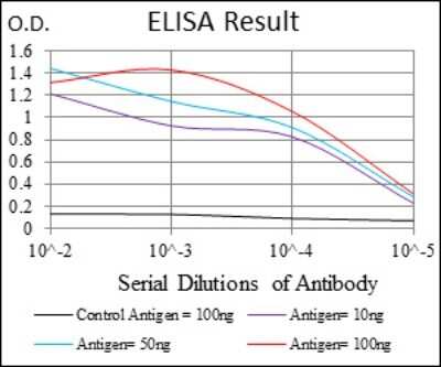 ELISA: Glucose 6 Phosphate Dehydrogenase Antibody (2H7) - Azide and BSA Free [NBP2-80752]