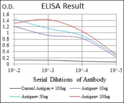 ELISA: Glucose 6 Phosphate Dehydrogenase Antibody (2H7) - BSA Free [NBP2-22125]