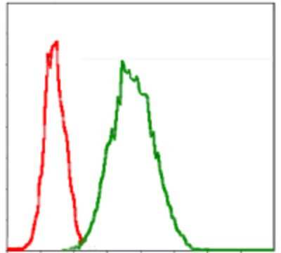 Flow Cytometry: Glucose 6 Phosphate Dehydrogenase Antibody (2H7) - BSA Free [NBP2-22125]