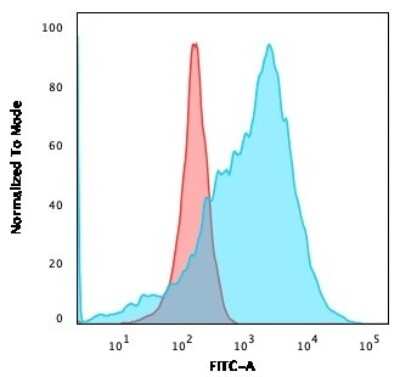 Flow Cytometry: Glut1 Antibody (GLUT1/3132R) [NBP3-07887]
