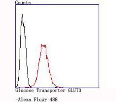 Flow Cytometry: Glut3 Antibody (JA50-31) [NBP2-66872]