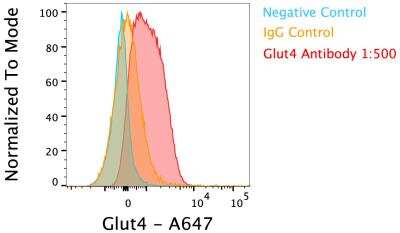 Flow Cytometry: Glut4 Antibody - BSA Free [NBP1-49533]