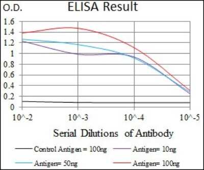 ELISA: Glut4 Antibody (3G10A3) - BSA Free [NBP2-22214]