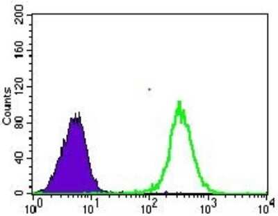 Flow Cytometry: Glut4 Antibody (3G10A3) - BSA Free [NBP2-22214]