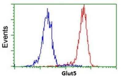 Flow Cytometry: Glut5 Antibody (OTI9F3) - Azide and BSA Free [NBP2-71285]