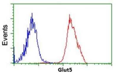 Flow Cytometry: Glut5 Antibody (OTI9F3) - Azide and BSA Free [NBP2-71285]