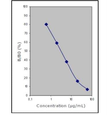 ELISA: Glutamate ELISA Kit (Colorimetric) [KA1909]