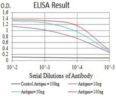 ELISA: Glutamate Receptor 6 Antibody (8A1F11) - BSA Free [NBP2-61788]