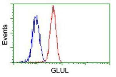 Flow Cytometry: Glutamine Synthetase Antibody (OTI1F4) [NBP2-02125]