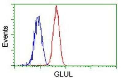Flow Cytometry: Glutamine Synthetase Antibody (OTI1F4) - Azide and BSA Free [NBP2-70834]