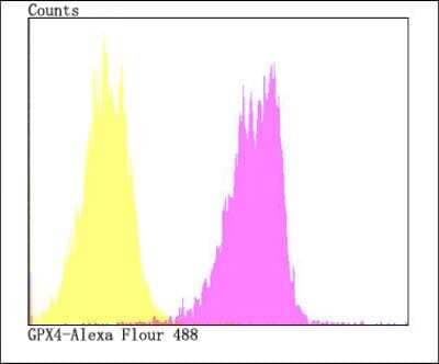 Flow Cytometry: Glutathione Peroxidase 4/GPX4 Antibody [NBP2-76933]