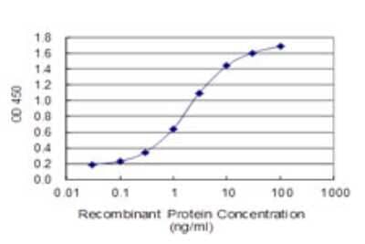 Sandwich ELISA Capture: Glutathione S-Transferase pi 1/GSTP1 Antibody (2G6-F6) [H00002950-M01]