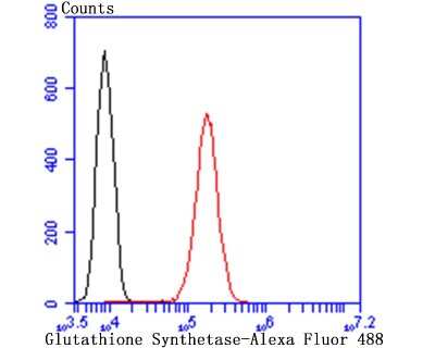 Flow Cytometry: Glutathione Synthetase Antibody (JB95-33) [NBP2-75513]