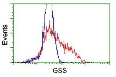 Flow Cytometry: Glutathione Synthetase Antibody (OTI1B8) - Azide and BSA Free [NBP2-70854]