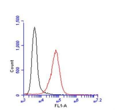 Flow Cytometry: Glypican 1 Antibody [NBP1-33197]