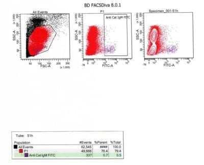 Flow Cytometry: Goat anti-Feline IgM Heavy Chain Secondary Antibody [NB7258]