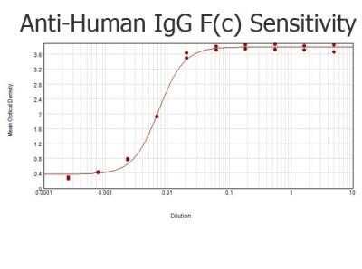 ELISA: Goat anti-Human IgG Fc Secondary Antibody (Pre-adsorbed) [NBP2-60678]