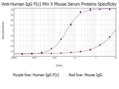 ELISA: Goat anti-Human IgG Fc Secondary Antibody (Pre-adsorbed) [NBP2-60678]