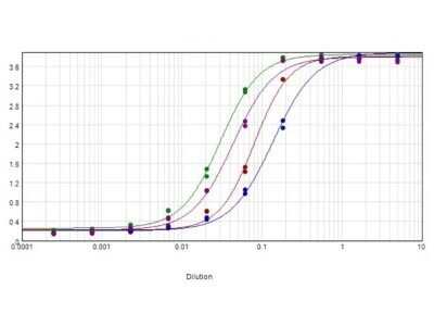 ELISA: Goat anti-Human IgG (H+L) Secondary Antibody [NBP2-60658]