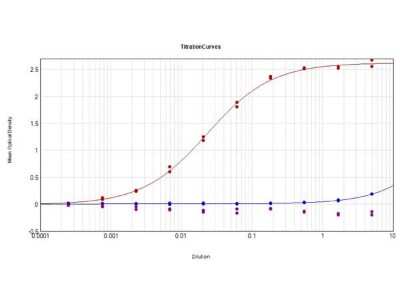 ELISA: Goat anti-Human IgG (H+L) Secondary Antibody (Pre-adsorbed) [NB120-7155]