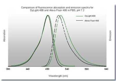 Fluorophore-linked immunosorbent assay: Goat anti-Human IgM Heavy Chain Secondary Antibody [NBP2-60670]