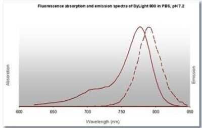 Fluorophore-linked immunosorbent assay: Goat anti-Human IgM Heavy Chain Secondary Antibody [NBP2-60670]