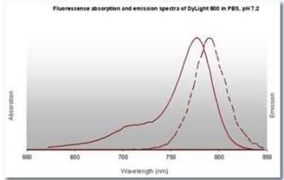 Fluorophore-linked immunosorbent assay: Goat anti-Mouse IgG Fc Secondary Antibody [NBP2-60664]