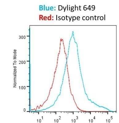 Flow Cytometry: Goat anti-Mouse IgG Fc Secondary Antibody (Pre-adsorbed) [NBP2-61925]
