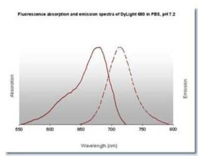 Fluorophore-linked immunosorbent assay: Goat anti-Mouse IgM Heavy Chain Secondary Antibody [NB120-9167]