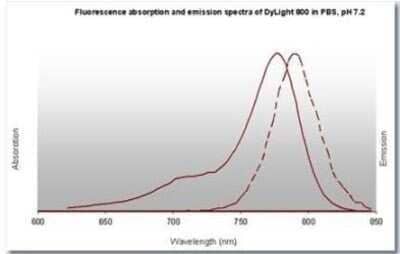 Fluorophore-linked immunosorbent assay: Goat anti-Mouse IgM Heavy Chain Secondary Antibody [NB120-9167]