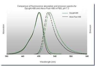 Fluorophore-linked immunosorbent assay: Goat anti-Mouse IgM Heavy Chain Secondary Antibody [NB120-9167]