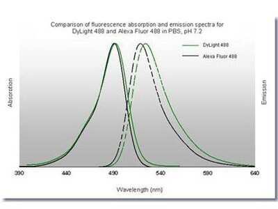 Fluorophore-linked immunosorbent assay: Goat anti-Rat IgM Heavy Chain Secondary Antibody [NBP2-60672]