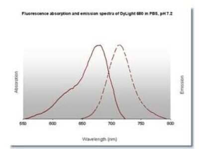 Fluorophore-linked immunosorbent assay: Goat anti-Rat IgM Heavy Chain Secondary Antibody [NBP2-60672]