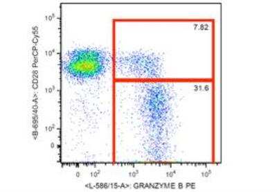 Flow Cytometry: Granzyme B Antibody (CLB-GB11) [NBP1-50071]