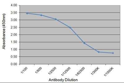 ELISA: Growth Hormone 2 Antibody (78.7C12) [NBP3-11636]