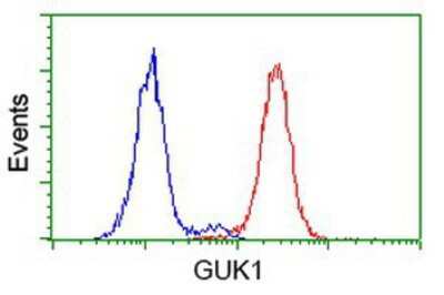 Flow Cytometry: Guanylate kinase Antibody (OTI4A8) [NBP2-00594]