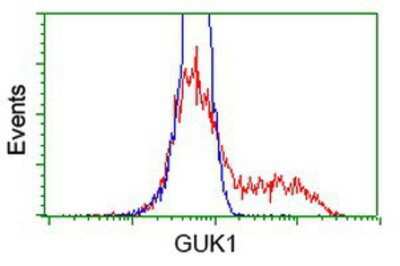 Flow Cytometry: Guanylate kinase Antibody (OTI4A8) [NBP2-00594]