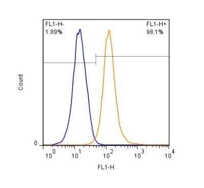 Flow (Intracellular): Guanylate kinase Antibody [NBP2-23758]