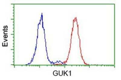 Flow Cytometry: Guanylate kinase Antibody (OTI4A8) - Azide and BSA Free [NBP2-70869]
