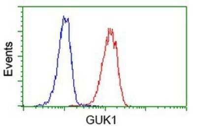 Flow Cytometry: Guanylate kinase Antibody (OTI4A8) - Azide and BSA Free [NBP2-70869]