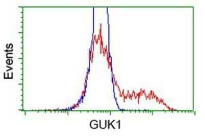 Flow Cytometry: Guanylate kinase Antibody (OTI4A8) - Azide and BSA Free [NBP2-70869]