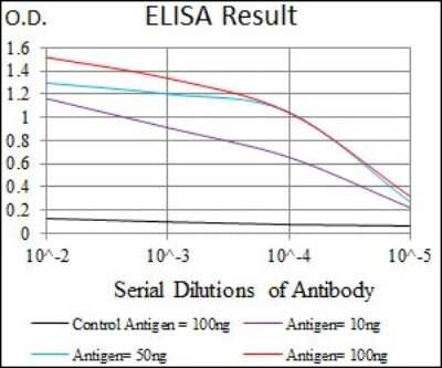 ELISA: Guanylyl Cyclase alpha 1 Antibody (3G6B2) - BSA Free [NBP2-37401]