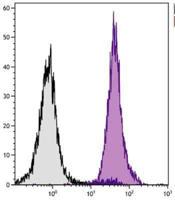 Flow Cytometry: H-2Db Antibody (27-11-13S) - Azide and BSA Free [NBP1-28189]