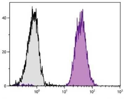 Flow Cytometry: H-2Dd Antibody (34-5-8S) - Azide and BSA Free [NBP1-28185]