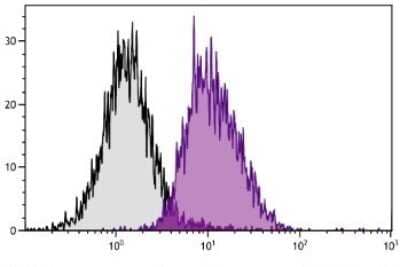 Flow Cytometry: H-2Dk Antibody (15-5-5S) - Azide and BSA Free [NBP1-28193]