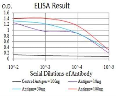 ELISA: H4/n Antibody (7A2E10) - BSA Free [NBP2-52489]