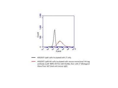 Flow Cytometry: HA Tag Antibody (4810) [NBP2-43714]