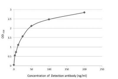 ELISA: HA Tag Antibody [NBP2-21581]