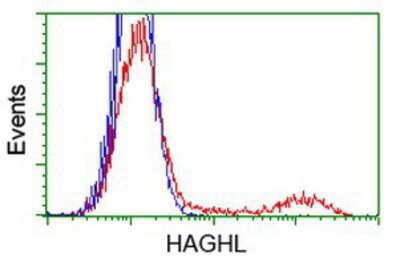 Flow Cytometry: HAGHL Antibody (OTI3H2) [NBP2-00472]
