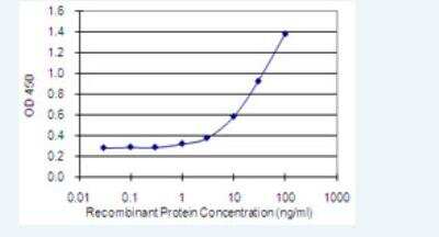 ELISA: HAGHL Antibody (5B12) [H00084264-M01-100ug]